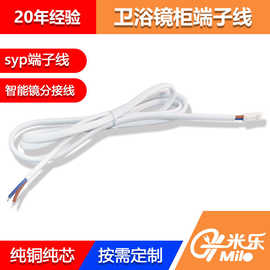 插头2芯铜线智能镜开关插头线SYP孔端0.1平方/全铜家电连接线铜芯