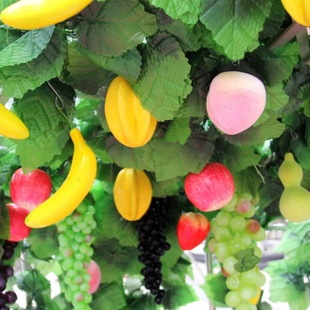 �����~�Ӵ�ˮ���ٻ��ٗl�[���b��߲˾Gֲ�������ܵ��p�@���