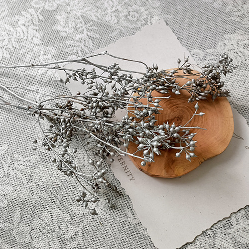 Zombie Fruit Millet Fruit Natural Dried Fruit DIY Handmade Material Home Decor Flower Material Yunnan Factory Direct Sale