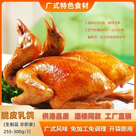 半成品菜;速冻中式面点;其他肉禽制品