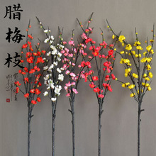 �����Ʒ�|��֧÷���D÷��֦�����ٻ��t÷�͏dƿ�廨����b����l