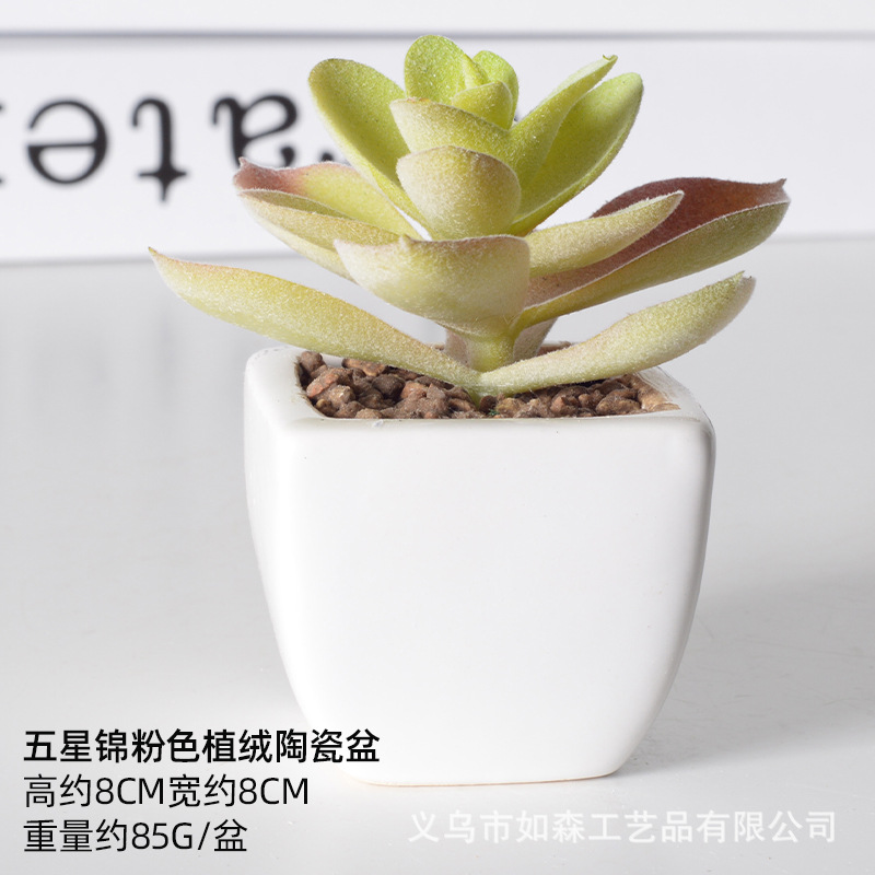 Simulación de cerámica bonsai de carne doméstica decoración de escritorio de oficina plantación verde maceta props de disparo maceta combinada artificial image 42
