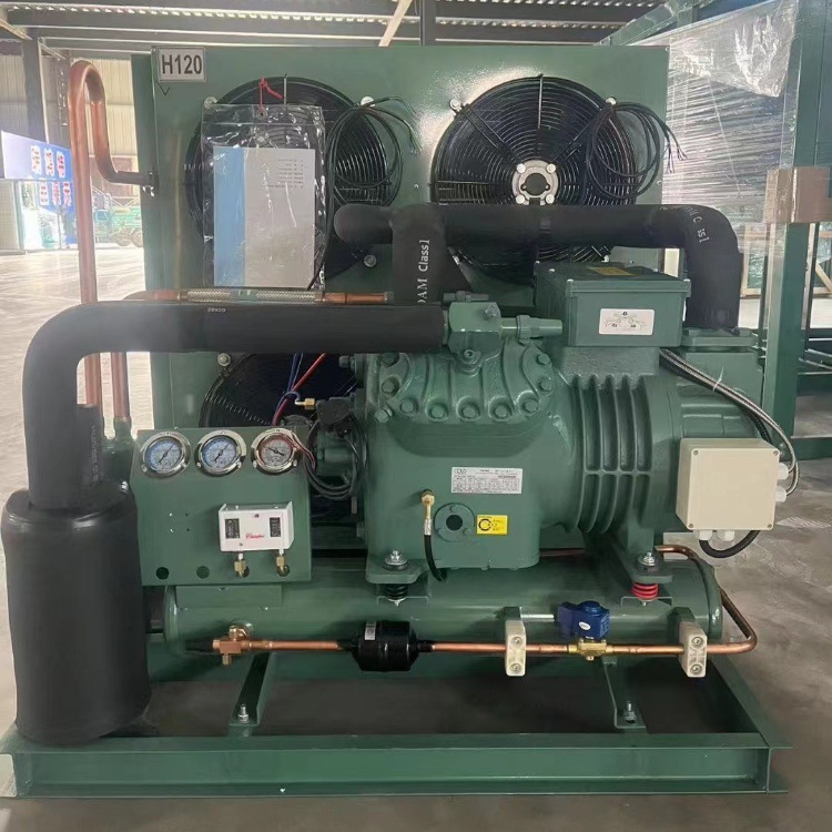 厂家供应20匹比泽尔双极机制冷压缩机S6H-20.2超低温机组