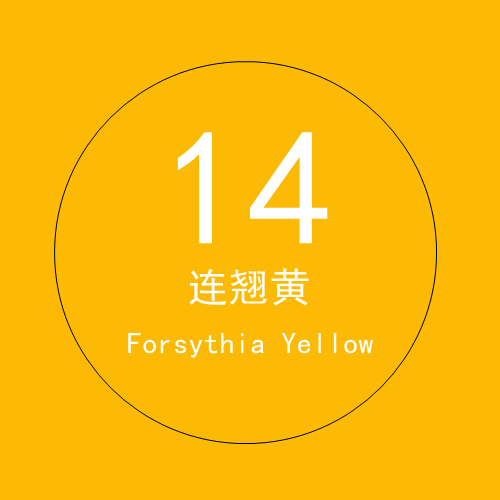 14 forsythia yellow 2.7× 5m
