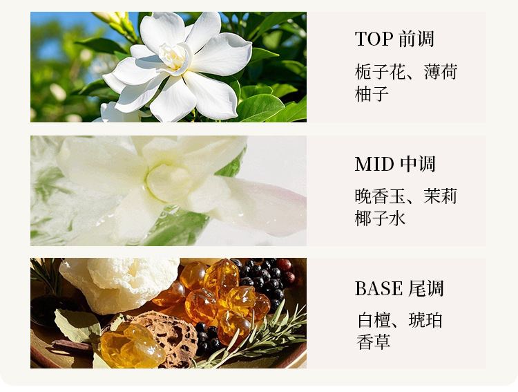 High color value star car perfume 2025 new car home without fire aromatherapy ornaments tremble with fragrance liquid