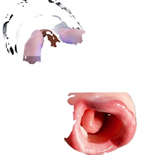 ��늄�ȫ�Ԅӿڽ���ο�挍����̎Ů�w�C����������ꎵ�������Ʒ��