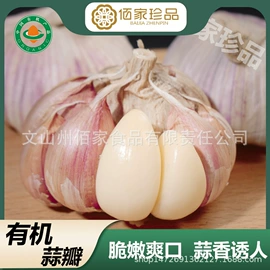 蒜;复合调味料;其他药食同源