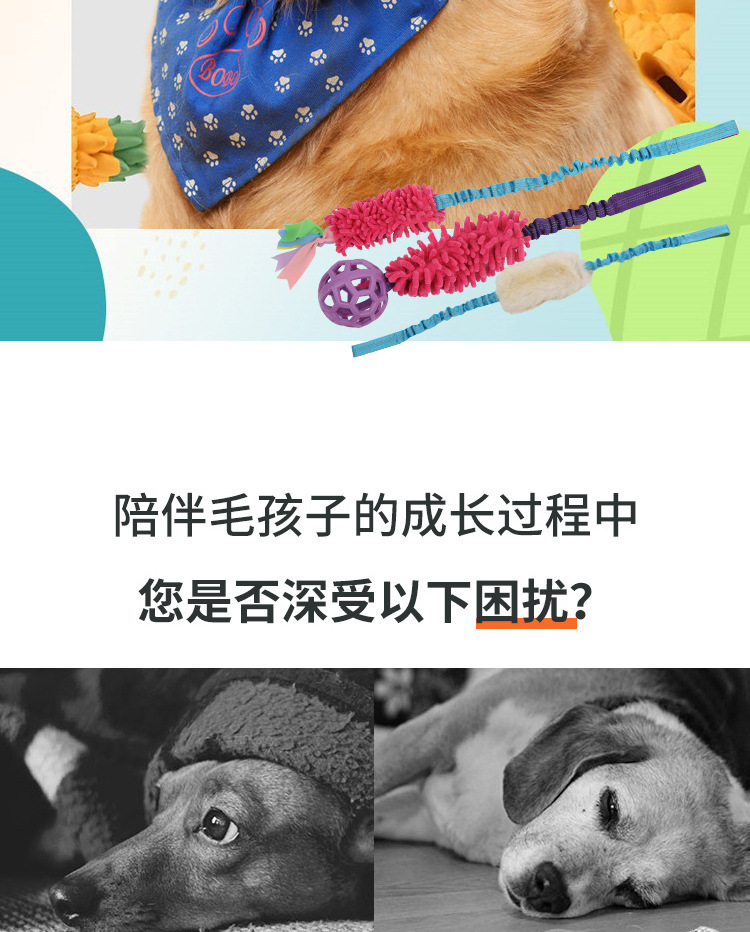 狗玩具阿里巴巴详情页_02