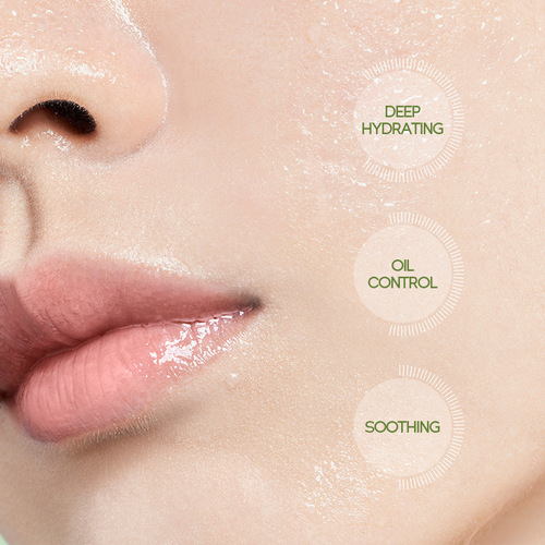 FENYI Toner Fenyi Green Tea Toner 100ml Moisturizing Moisturizing Water Skin Care Products Manufacturer