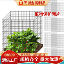 �羳ֲ��W���o��DIY�F�|�䱣�o��ī�Gֲ�ﱣ�o�F�z�W��Ƭ