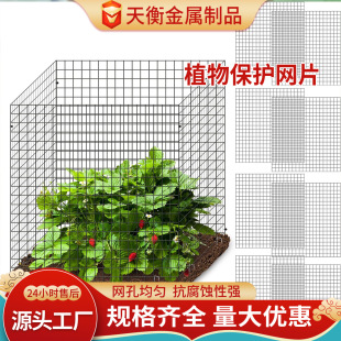 �羳ֲ��W���o��DIY�F�|�䱣�o��ī�Gֲ�ﱣ�o�F�z�W��Ƭ