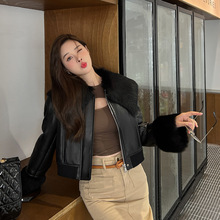 2025¶̿С˹ƤëһŮ캣ëƤ