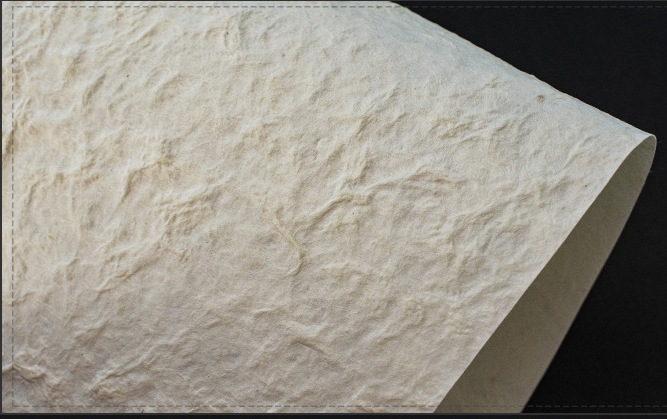 타이 화이트 150×90cm