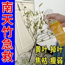 南天竹专用肥南天竹营养液水培专用净化水质生根促长急救黄叶落叶