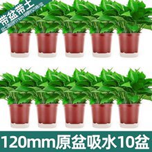 G}҃ȺBȩ՚ˮֲGֲԾGjl