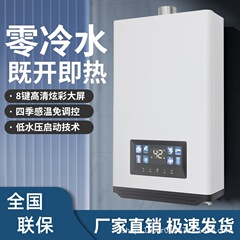 給湯器家庭用知能恒温機16l天然ガス給湯器厨房衛生両用ガス給湯器卸売り
