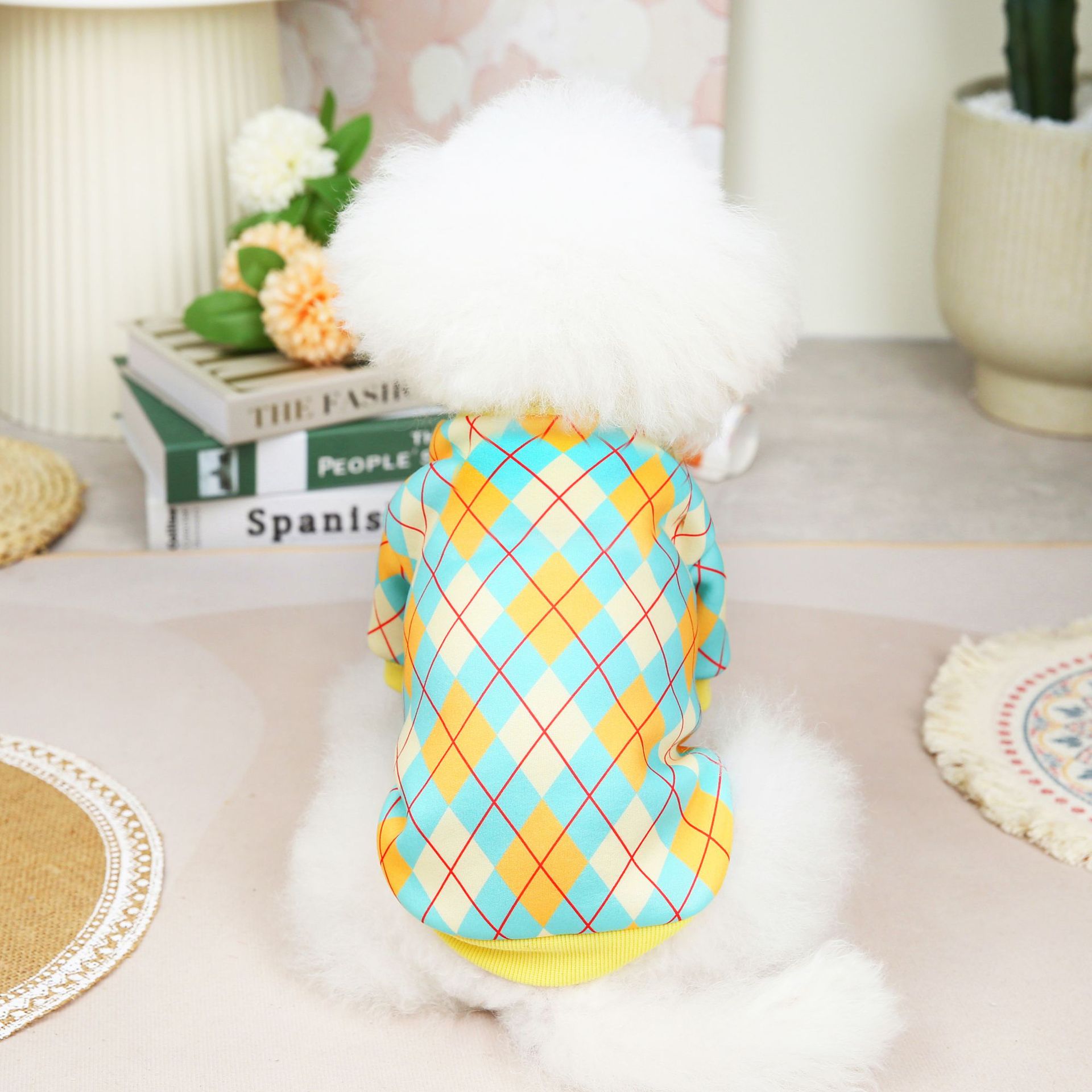 2022韩版经典格子卫衣