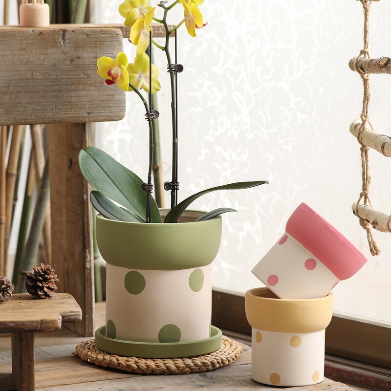 Handmade Colored Engraved White Clay Unglazed Ceramic Flower Pot, Breathable Coarse Pottery Pot with Tray, Suitable for Orchids and Tall Succulents Handmade Colored Engraved White Clay Unglazed Ceramic Flower Pot, Breathable Coarse Pottery Pot with Tray, Suitable for Orchids and Tall Succulents