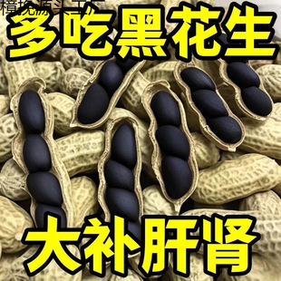 2025��Ϻڻ������r���������ڻ���Ƥ������������ɬF�ڷN����؛