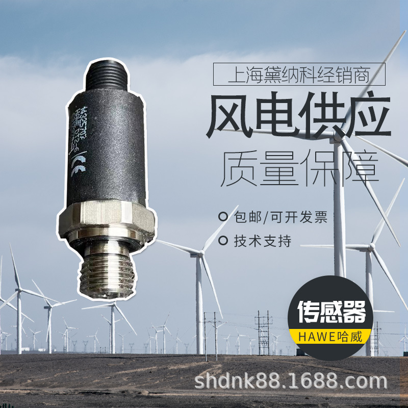 德国HAWE进口DT 2-2-MSD-T 7压力继电器哈威 风电供应