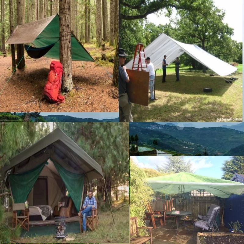 图怪兽_1057d431956d58c75f6900a717