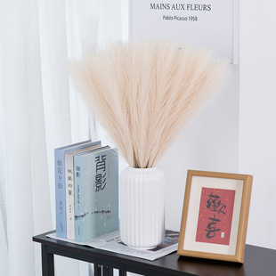 �羳����˹�ݷ���ֲ��������Ȕ�JȔ�ݼҾ��bٻ��羳�����JȔ