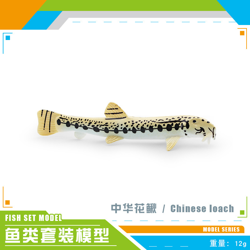 Transfronteriza simulación animal marino chino Loach flecha pescado rojo punto salmón piraña modelo adornos