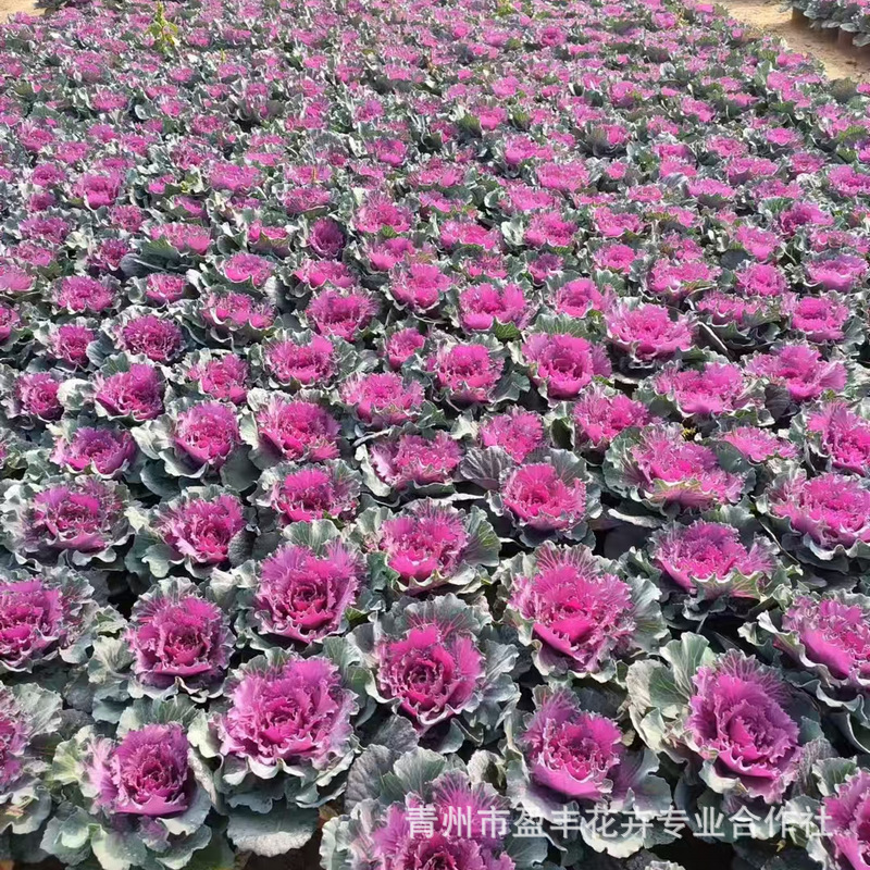 微信图片_20241105152719