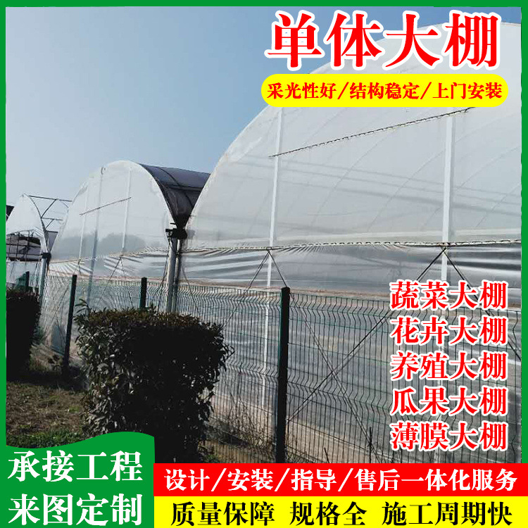 单体大棚 新型恒温大棚 农业蔬菜葡萄热镀锌钢管简易大棚支架