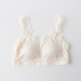 Wholesale Silk Comfortable Middle-Aged and Elderly Vest-Style Tube Top with Padded Bra Without Rims All-In-One Mulberry Silk Bra