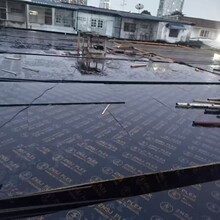 ���Bģ�渲Ĥ�z�ϰ帣���S�����l�ɰ������aһ�γ��Ͷ��γ���