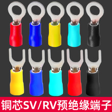 �A�^���䉺�Ӿ�����SV/RV��U��Y��O�͈A���~���Ӊ�����늾��B���^