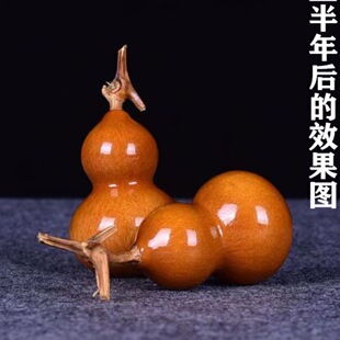 ����С���J���r���J�b����^�ְѼ���������С�ֶ��������w
