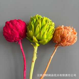 ���E�������滨�ɻ��廨�҃��b廨�[��diy�ֹ�