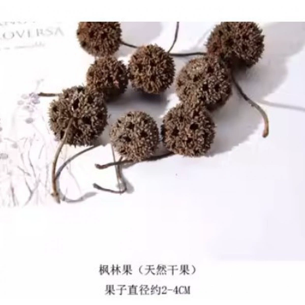 [枫林果5个]