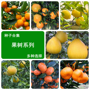 ����N�ӻ����N�Ӹ������Ӱ���������ٙ��ҙ��ʗ���N���ļ�ͥԺ