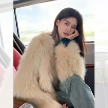 2025¿ƤŮ̿ºëpˮëqëë