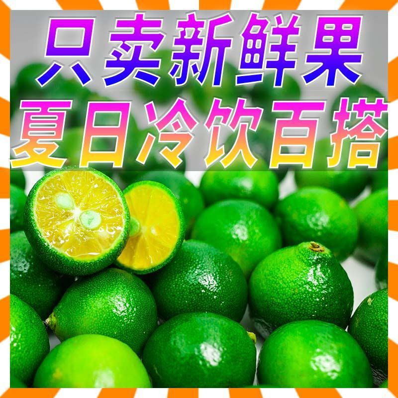 Hainan Small Green Lemons and Small Kumquats for Milk Tea Shops, Seasonal Fresh Fruits, Fragrant Citrus, Whole Box, Cross-Border Supply Hainan Small Green Lemons and Small Kumquats for Milk Tea Shops, Seasonal Fresh Fruits, Fragrant Citrus, Whole Box, Cross-Border Supply