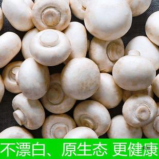 �p�߹��Fժ�F�l���r��Ģ�W�t����Ģ������偕r���߲����uͨ����վ