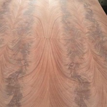 酒店用天然高档桃花心树杈木皮crotch veneer货源充足