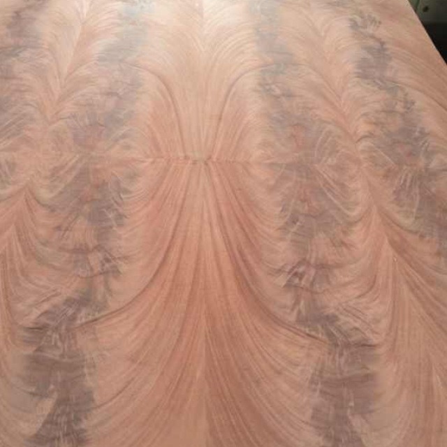 酒店用天然高档桃花心树杈木皮crotch veneer货源充足