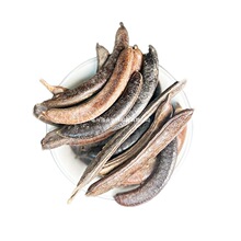 �i���������������vС����С���v����۴����F؛�a��؛Դ���N�䱳