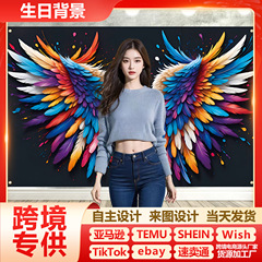 跨境供应 彩色蝴蝶翅膀背景布 室内户外生日派对装饰拍照道具横幅