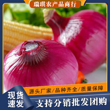 ������Ƥ���[9���������r���Ԯ����߲�5���l���]�F�ڈA��ˮ���[�^