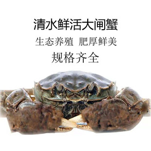 ����������B���lз ���NҎ�� ���س�؛�׵��r����lз�a�����l