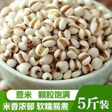 ����؛��޲���״�޲�����F���r������s�Z�ּZ�ඹ�t��޲�����x��
