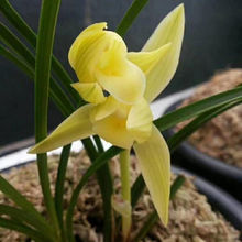 �����Ʒ�m���� ɏ���m�����S�ء������҃ȾGֲ����