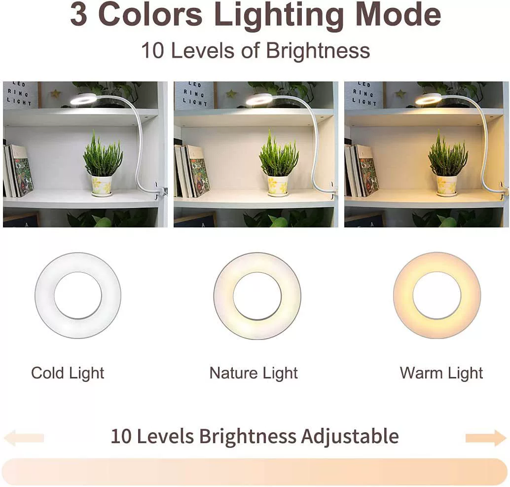 Table LED reading, teaching table lamp, fill light, 5v