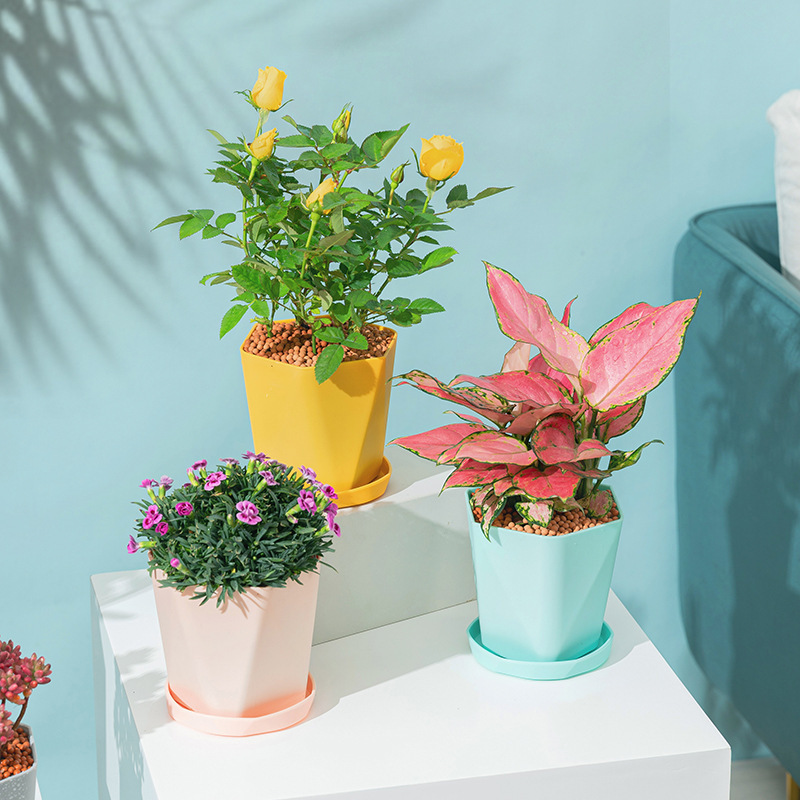 Balcony Household Plastic Flower Pot Desktop Nordic Style Simple White Thickened Large small size Gallon Potted Plant Fleshy Factory Balcony Household Plastic Flower Pot Desktop Nordic Style Simple White Thickened Large small size Gallon Potted Plant Fleshy Factory