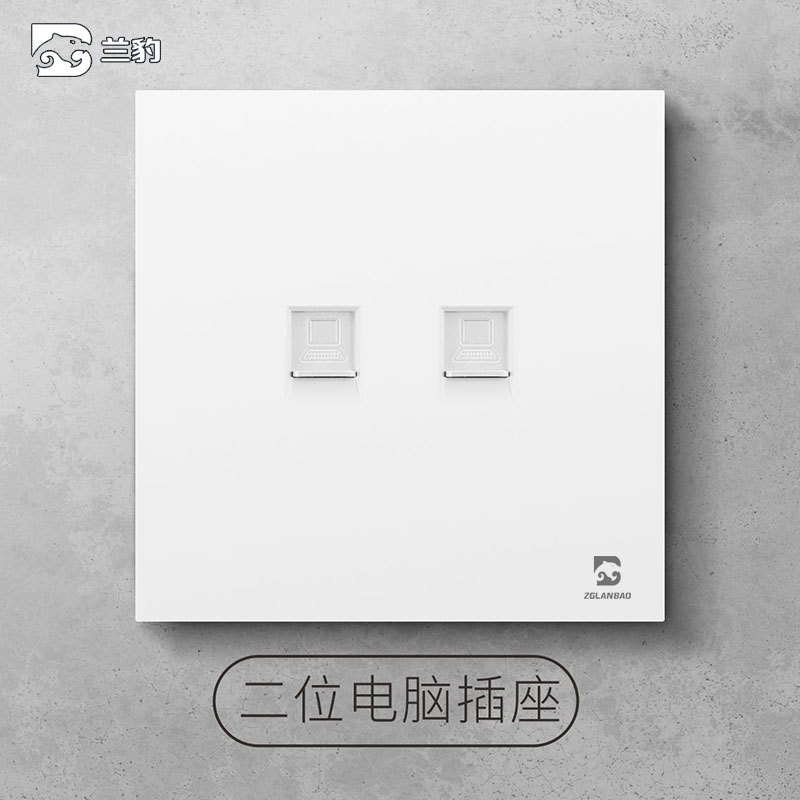 Dual computer socket (two network cable)